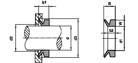 VA seal, V-Ring